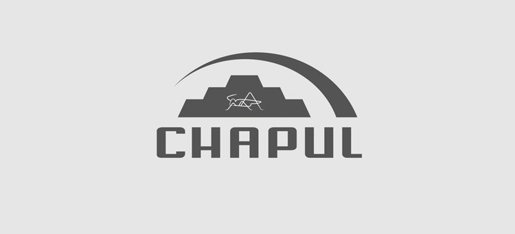 Logo_Chapul_FINAL